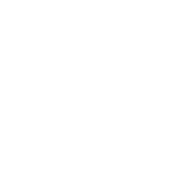 mudra